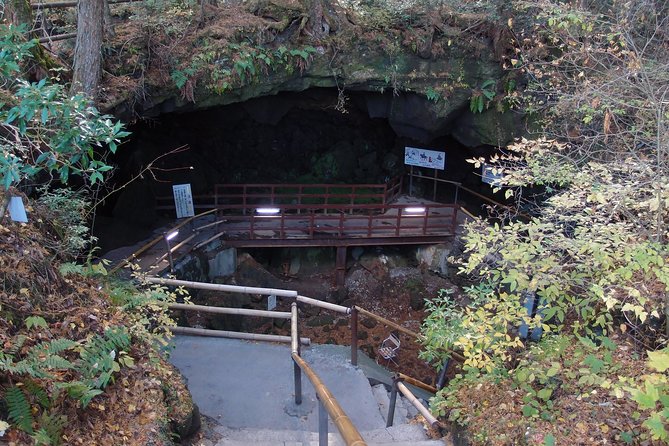 Experience the Stunning Nature of Mt.Fuji - Private Tour - Lake Saiko: quiet water and the Aokigahara edge