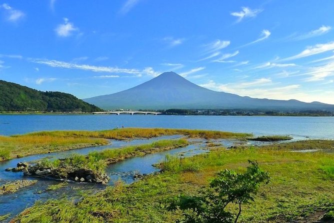 Experience the Stunning Nature of Mt.Fuji - Private Tour - Why the private English guide makes this tour easier