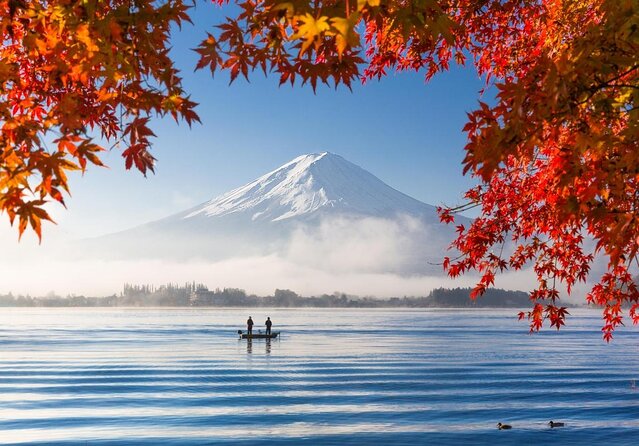 Experience the Stunning Nature of Mt.Fuji - Private Tour - Tenjoyama Ropeway and the walk down hydrangea vibes