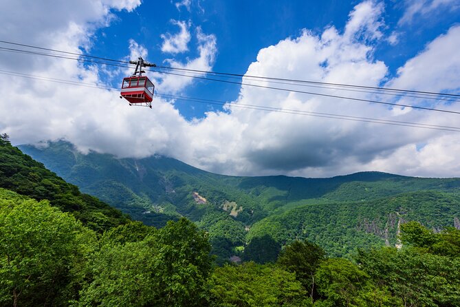 Explore the Culture and History of Nikko with this Private Tour - Why Nikko Makes a Great Private Day Trip