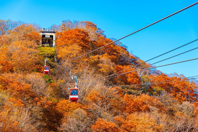 Explore the Culture and History of Nikko with this Private Tour - Price and Value for a Private Group Up to 9