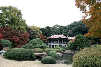 Free Choice of Itineraries Tokyo Private Tour - Hotel Lobby Pickup and Public Transport: The Real-World Rhythm