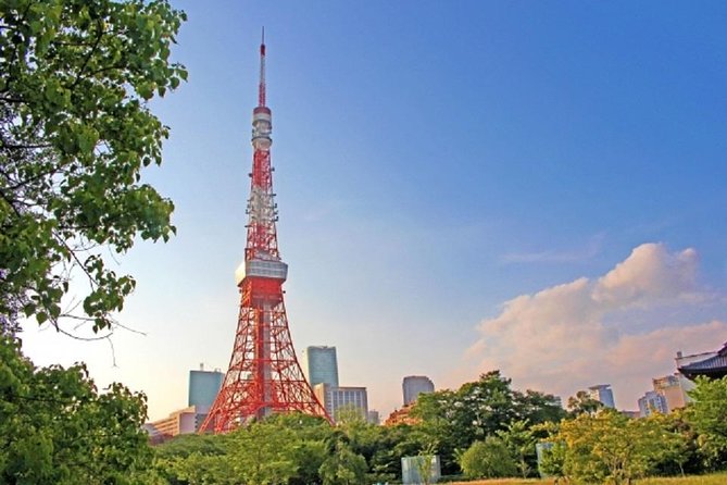 Freely set up plans Guided Private Tours in Tokyo - A private Tokyo plan that actually saves your energy