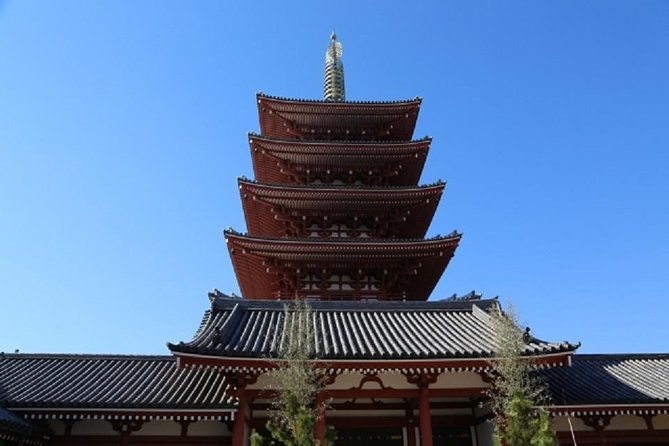 Freely set up plans Guided Private Tours in Tokyo - Culture and calm: Meiji Jingu and Shinjuku Gyoen