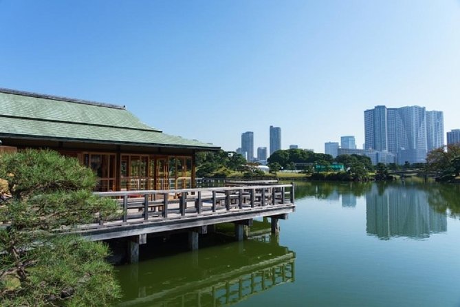 Freely set up plans Guided Private Tours in Tokyo - The odd-fun factor: Owl Café Akiba Fukurou and Chiku Chiku Café