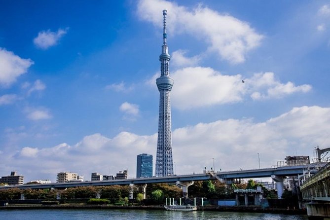 Freely set up plans Guided Private Tours in Tokyo - How the guide experience shows up in real life