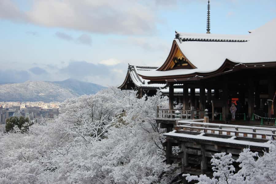 From Osaka: Kyoto & Nara Highlights Day Tour (7 attractions) - Kasugataisha Shrine: lantern-lit calm (even when the crowds show up)