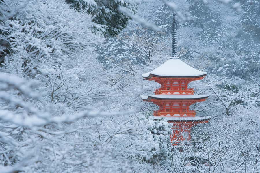 From Osaka: Kyoto & Nara Highlights Day Tour (7 attractions) - Uji Omotesando: tea-house stroll and a lunch reset