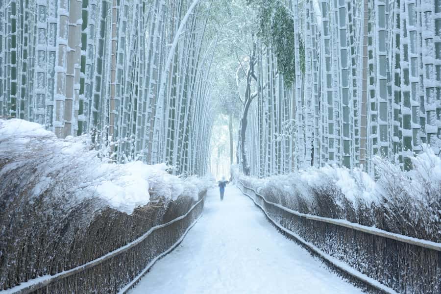 From Osaka: Kyoto & Nara Highlights Day Tour (7 attractions) - Fushimi Inari Taisha: walking the torii tunnel