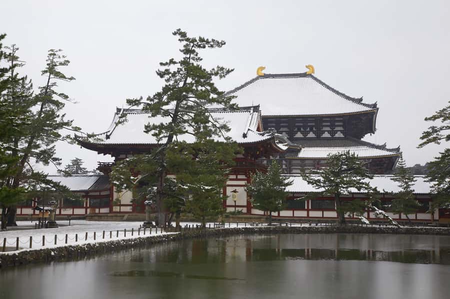 From Osaka: Kyoto & Nara Highlights Day Tour (7 attractions) - How the guides shape the experience (and why names matter)