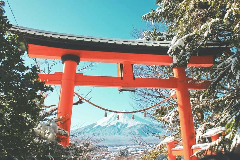 From Tokyo: 1 Full Day Mount fuji Sightseeing Trip - Private Fuji from Tokyo: what a 10-hour loop really feels like