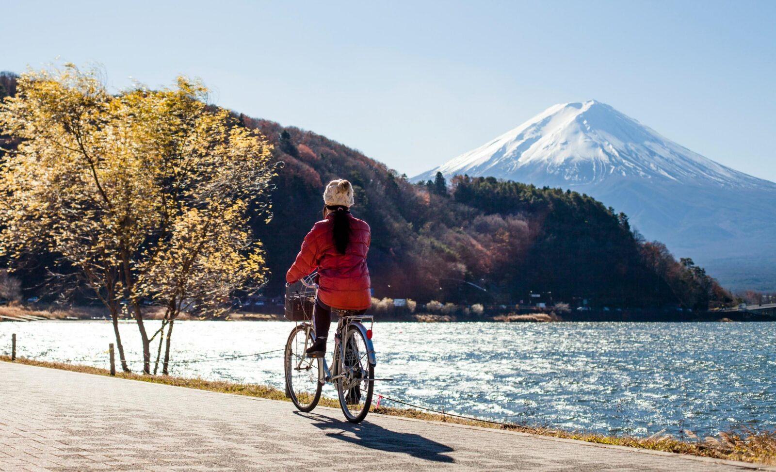 From Tokyo: 1 Full Day Mount fuji Sightseeing Trip - Lake Yamanaka and Kitaguchi-hongu Fuji Sengen Shrine: slower views and shrine time