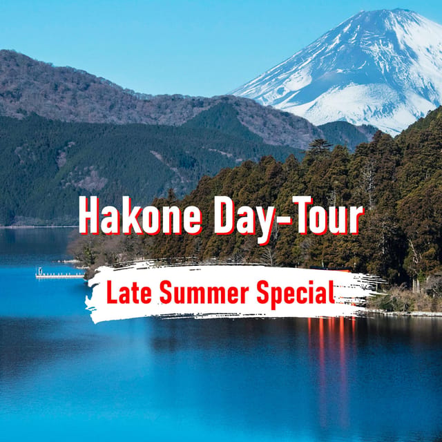 From Tokyo: 10-hour Hakone Private Custom Tour - A 10-Hour Hakone Day From Tokyo in Your Own Private Car