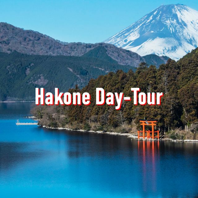 From Tokyo: 10-hour Hakone Private Custom Tour - Building Your Hakone Route Around Owakudani, Lake Ashi, Shrine, and the Open Air Museum