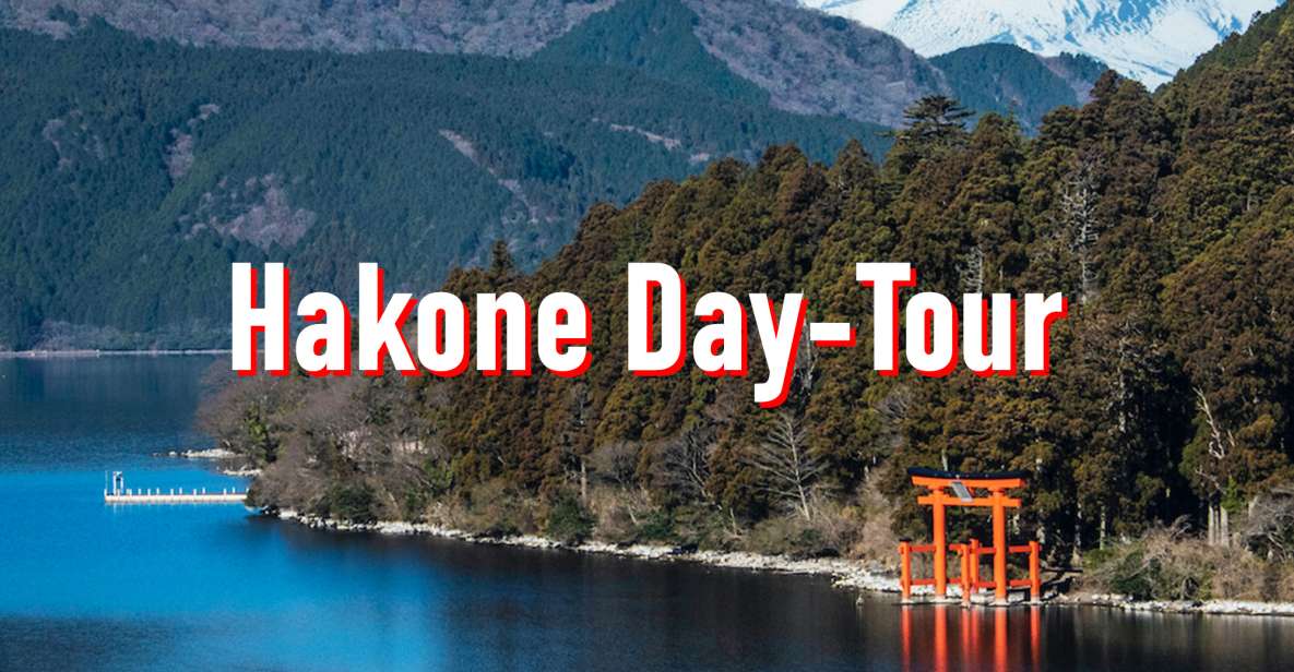 From Tokyo: 10-hour Hakone Private Custom Tour - Who This Private Hakone Tour Suits Best