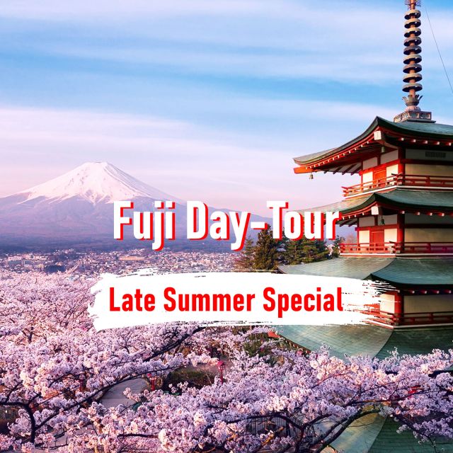 From Tokyo: 10-hour Mount Fuji Private Customizable Tour - Who this Mount Fuji private tour is best for