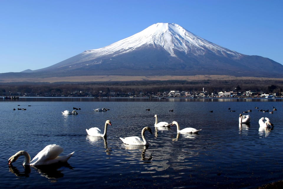 From Tokyo: Fuji Mountain Area - FujiQ - Lake Kawaguchiko - Chureito Pagoda - Key highlights worth planning for