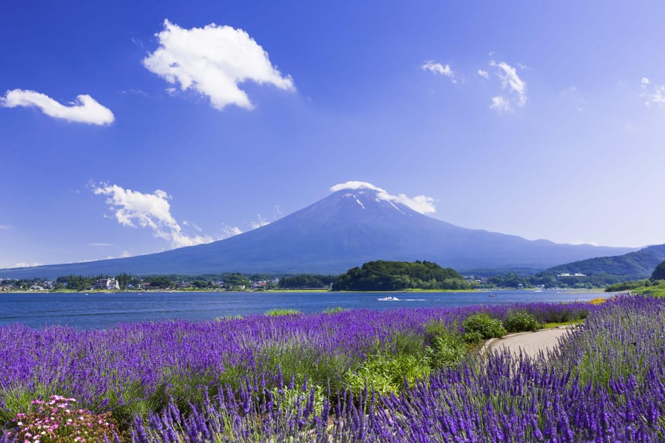 From Tokyo: Fuji Mountain Area - FujiQ - Lake Kawaguchiko - Chureito Pagoda - Oishi Park: where Mount Fuji looks like it was staged