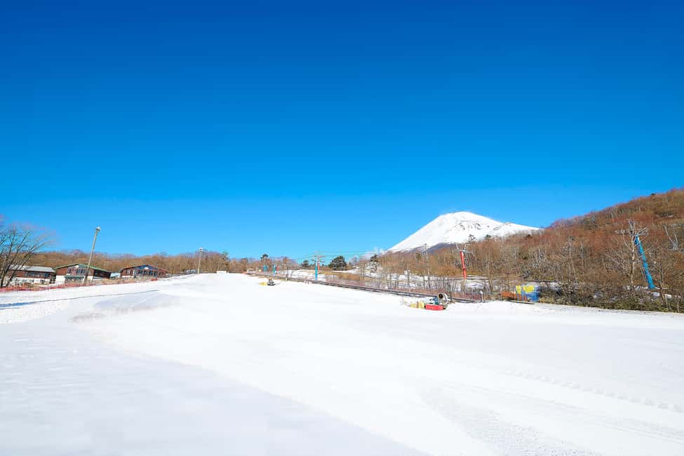 From Tokyo : Fujiyama Snow Resort Yeti Day Tour - A One-Day Fuji Ski Trip That Actually Starts on Time
