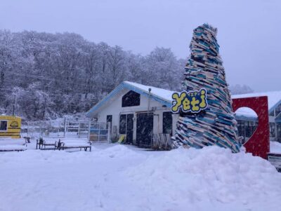 From Tokyo : Fujiyama Snow Resort Yeti Day Tour - Getting From Tokyo Mode Gakuen to the Resort (Without a Headache)