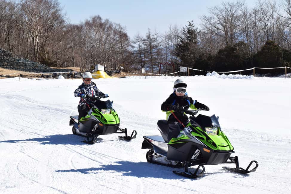 From Tokyo: Fujiyama Snow Resort Yeti Winter Ski Day Tour - Price and value: what your $49 really gets you