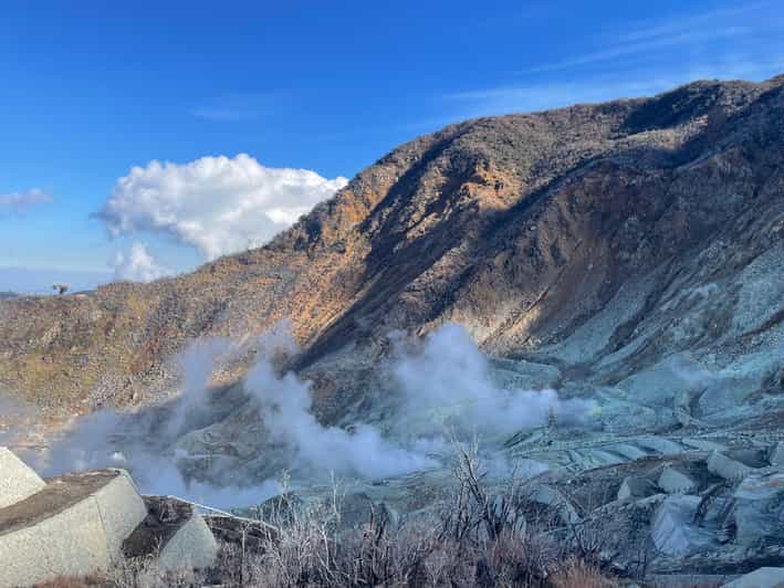 From Tokyo: Hakone Full Day Customizable Private Tour - Key things that make this Hakone day trip worth it