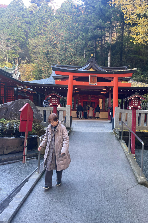 From Tokyo: Hakone Full Day Customizable Private Tour - Fuji Hakone Izu National Park area: views without pressure