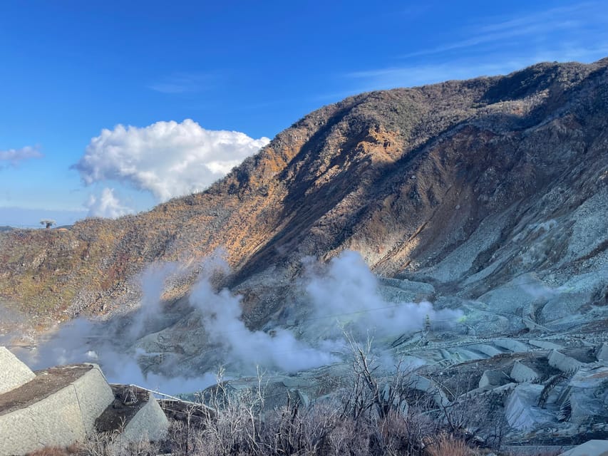From Tokyo: Hakone Full Day Customizable Private Tour - Lake Ashi cruise: the calm middle that keeps the day from breaking