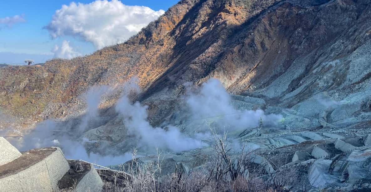 From Tokyo: Hakone Full Day Customizable Private Tour - Hotel pickup in Tokyo: the calm part of the plan