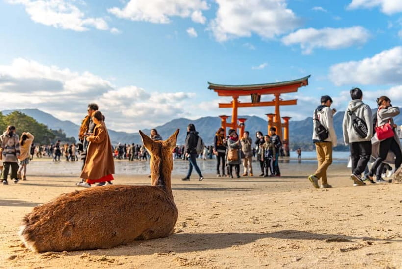 From Tokyo: Hiroshima and Miyajima Day Trip by Bullet Train - Itsukushima Shrine: the included visit that anchors the island