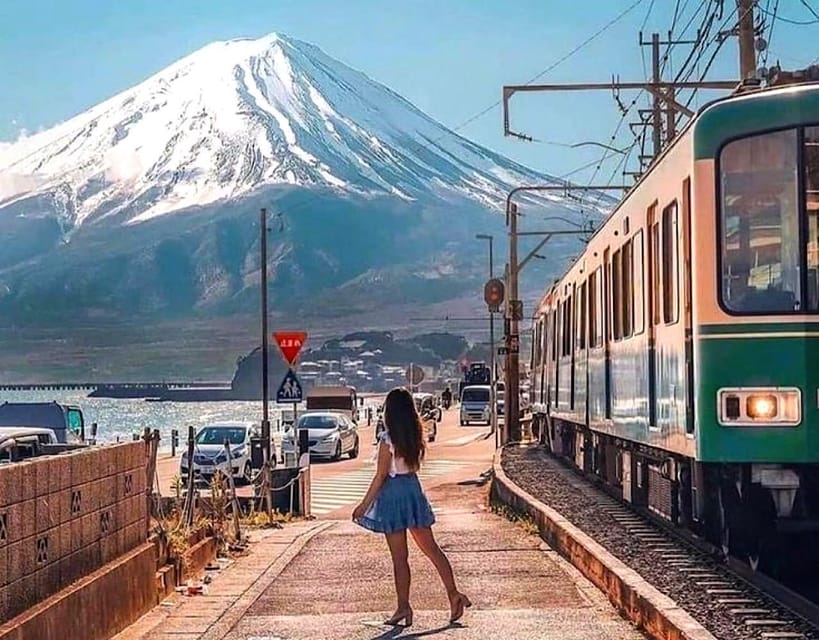 From Tokyo: Kamakura and Enoshima Full-Day Private Trip - Walking, timing, and what to bring for a smooth day
