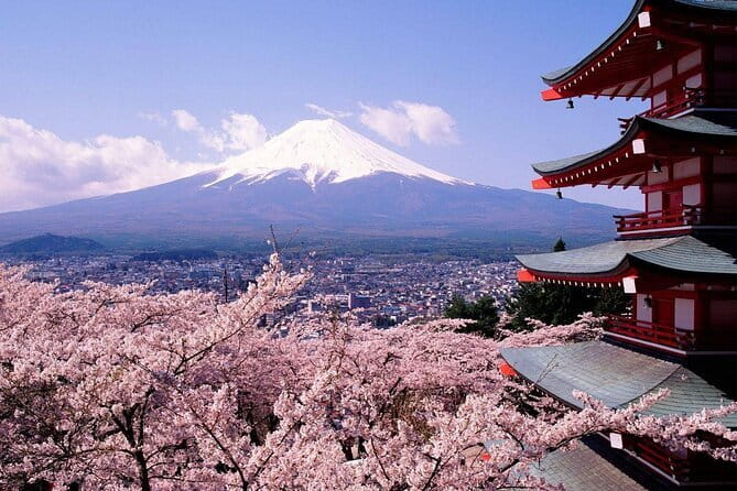 From Tokyo Kamakura, Hachimangu Shrine and Enoshima Full Day Tour - Value for money: what the $60.62 actually covers