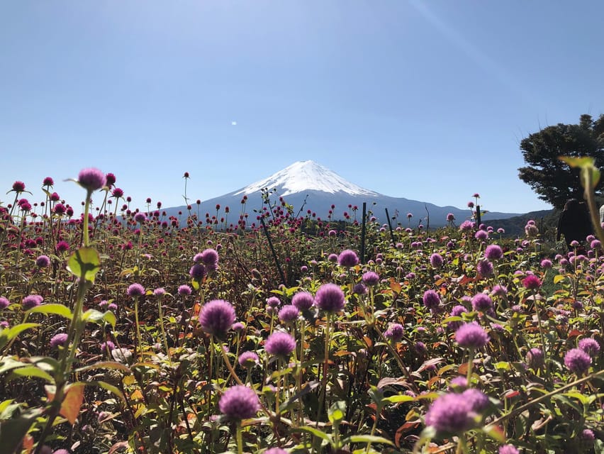 From Tokyo: Mount Fuji, Cruise and Sake Tour - Timing, Weather, and What to Bring for a Smooth 10 Hours