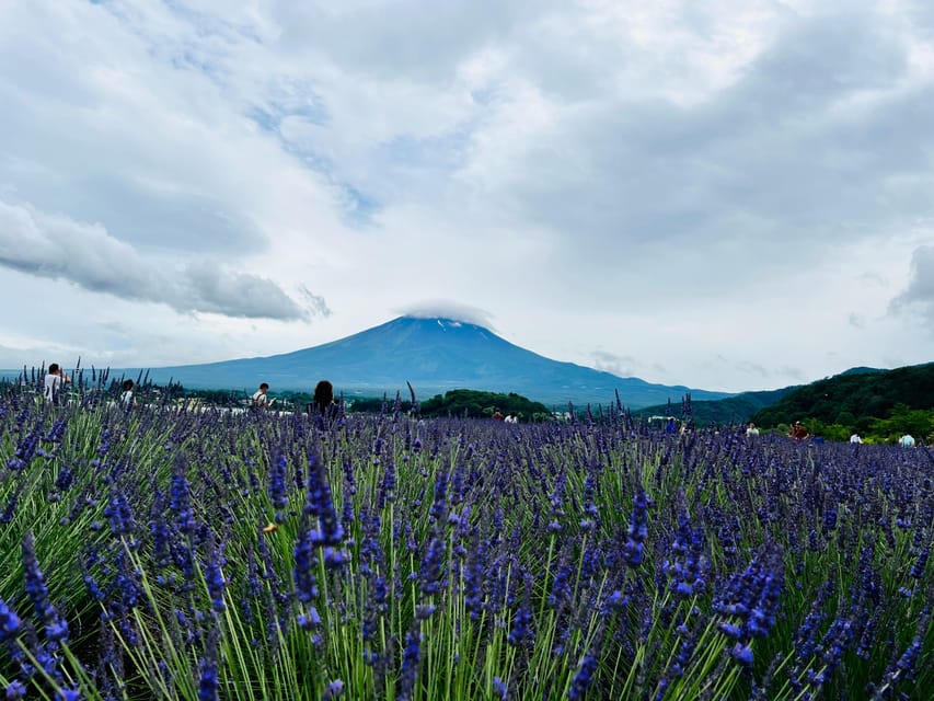 From Tokyo: Mount Fuji Full Day Customizable Private Tour - Key highlights to know before you go