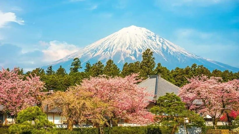 From Tokyo: Mount Fuji Full Day Customizable Private Tour - A 10-hour private day: what the timing really means