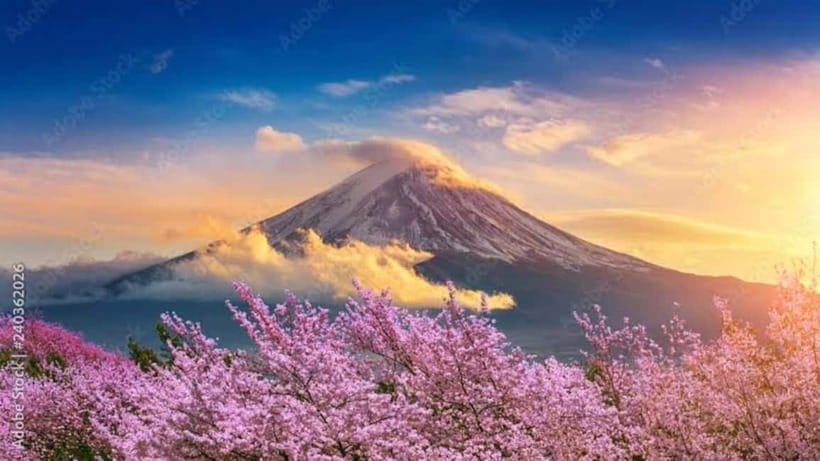 From Tokyo: Mount Fuji Full Day Customizable Private Tour - Oshino Hakkai’s eight ponds: calm walking with a strong local feel