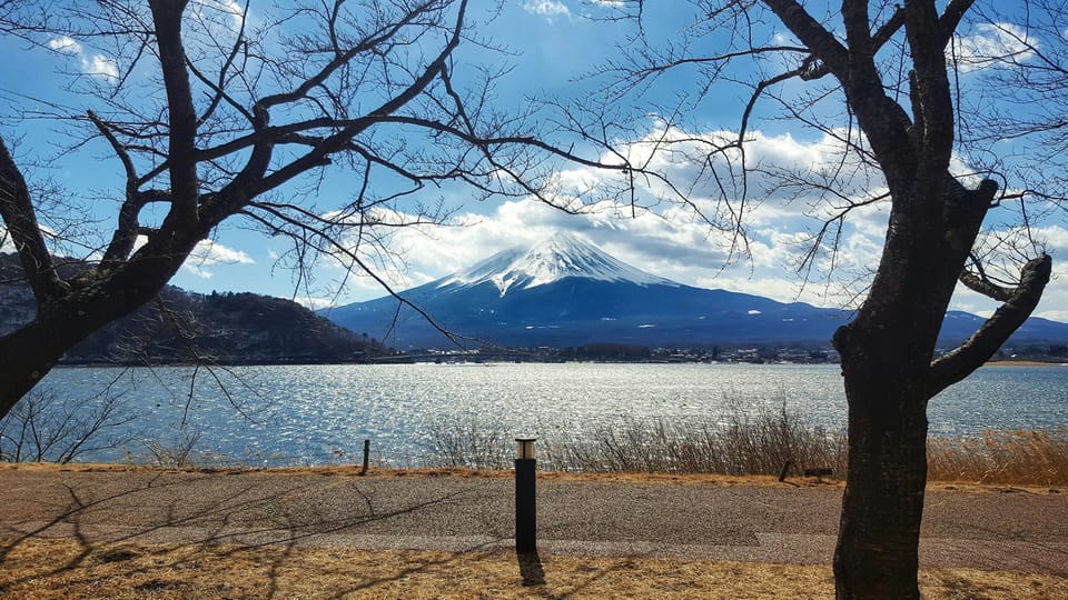 From Tokyo: Mount Fuji Full Day Customizable Private Tour - Chureito Pagoda: the Fuji-framed icon stop