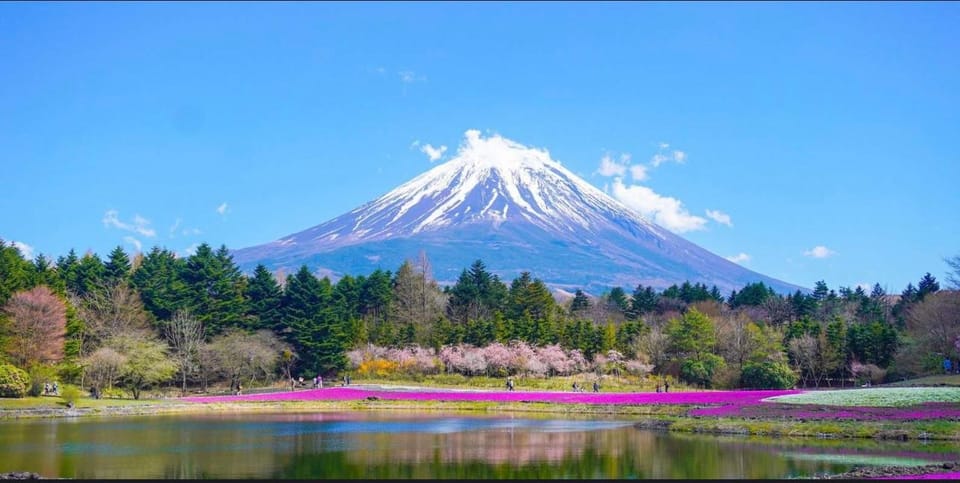 From Tokyo: Mount Fuji Full Day Customizable Private Tour - Hakone Ropeway and Owakudani: volcanic views from above