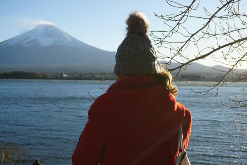 From Tokyo: Mount Fuji Full Day Customizable Private Tour - Mt. Fuji 5th Station views and the seasonal twist (July–Sept)