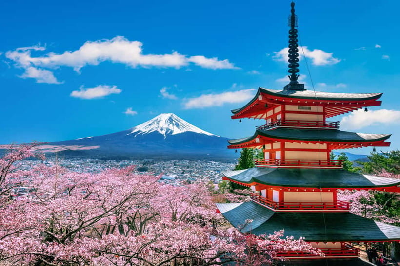 From Tokyo: Mount Fuji Full Day Private Customizable Tour - Key things to know before you go