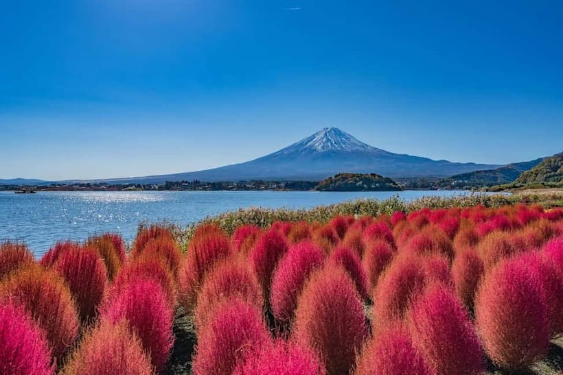 From Tokyo: Mount Fuji Full Day Private Customizable Tour - Why this private Mt. Fuji day trip feels different