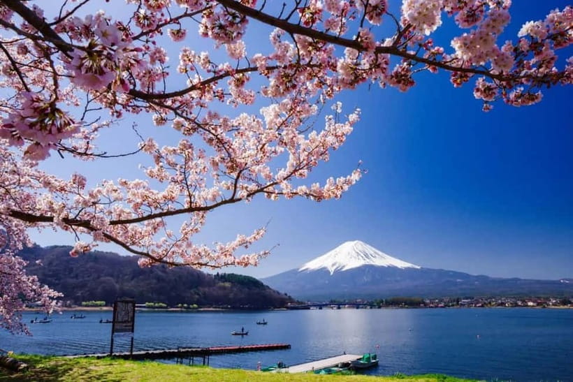 From Tokyo: Mount Fuji Full Day Private Customizable Tour - Planning the day: why an early start matters so much