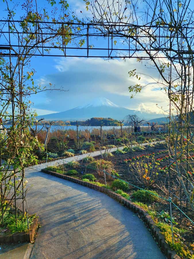 From Tokyo: Mount Fuji Full-Day Private Tour (Customizable) - Practical Tips That Help Your Fuji Day Actually Go Smooth