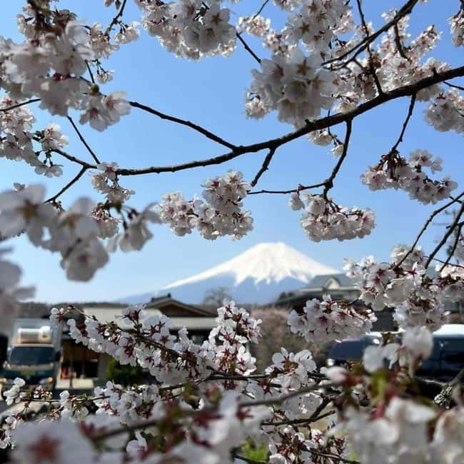 From Tokyo: Mount Fuji Full-Day Private Tour (Customizable) - Oshino Hakkai Village: Spring-Fed Ponds and Traditional Quieter Time