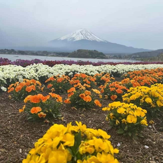 From Tokyo: Mount Fuji Full-Day Private Tour (Customizable) - Guides and Photo Help: What “English-Speaking” Looks Like in Real Life