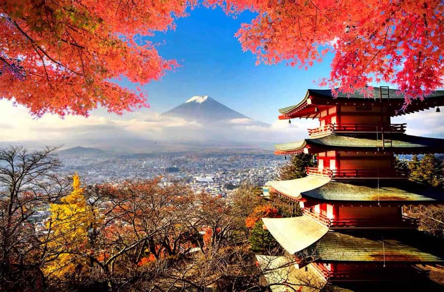 From Tokyo: Mount Fuji Full Day Private Tour English Guide - Why a private Fuji day from Tokyo makes sense