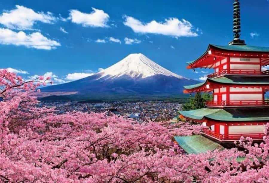 From Tokyo: Mount Fuji Full Day Private Tour English Guide - Oshino Hakkai: eight ponds and a slower rhythm