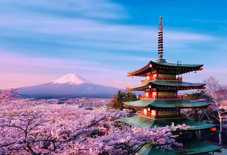 From Tokyo: Mount Fuji Full Day Private Tour English Guide - Lake Kawaguchi and Oishi Park: where the view changes by the hour