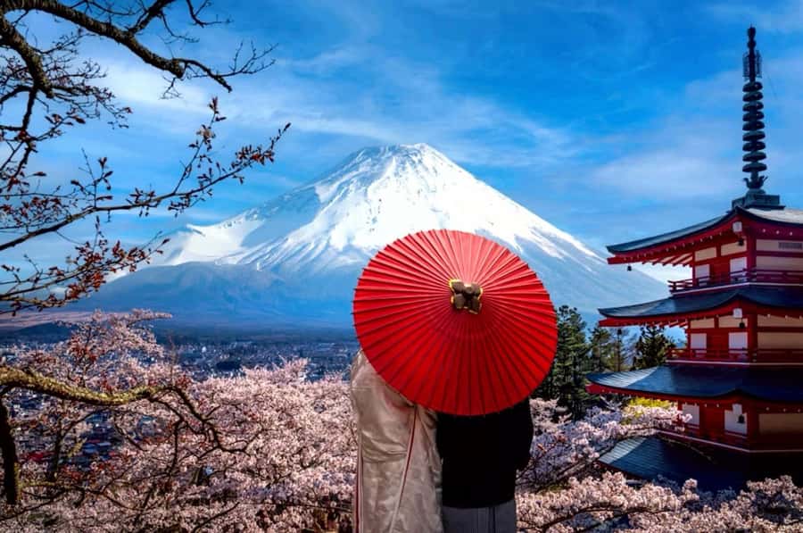 From Tokyo: Mount Fuji Full Day Private Tour English Guide - What’s likely to go right (and how to make it go even better)
