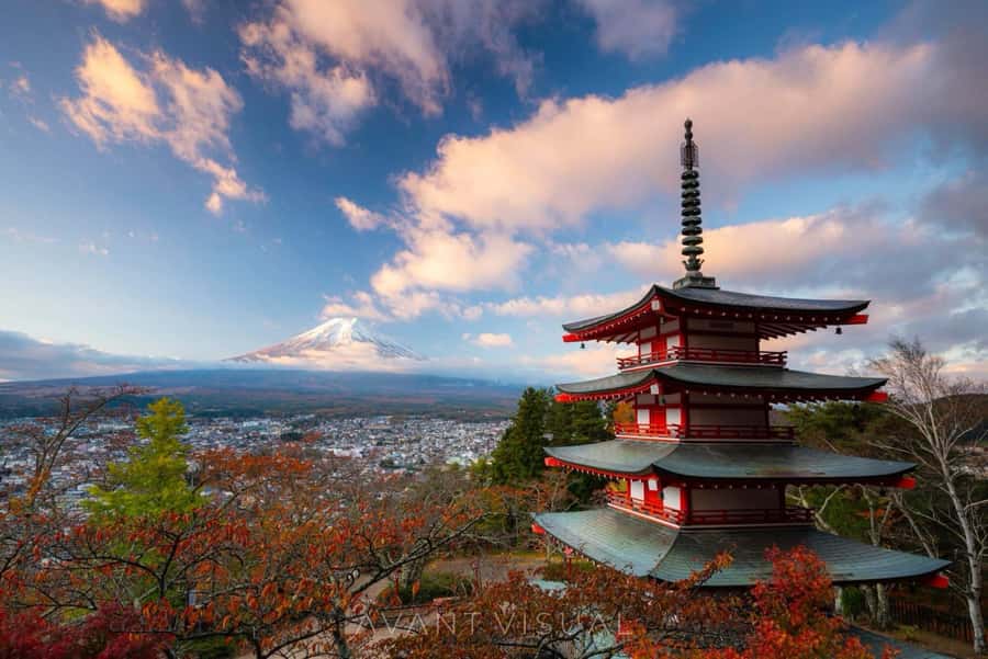 From Tokyo: Mount Fuji Full Day Private Tour English Guide - Door-to-door pickup: the underrated part of a 9–10 hour day